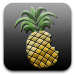 iPhone Dev-Team: Prepare to Jailbreak iPhone 3GS