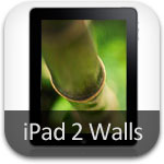 iPad 2 Wallpapers