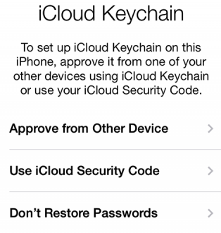 iPhone 6 setup keychain