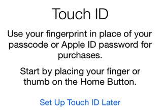 iPhone 6 setup Touch ID