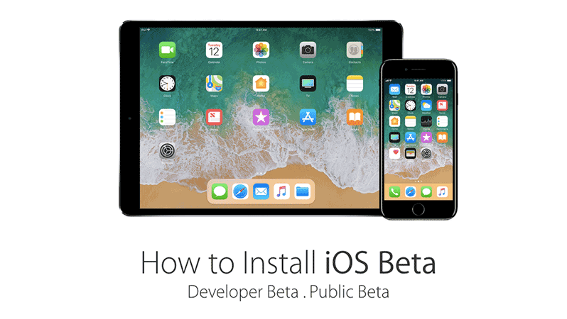 install ios 12.1.1 developer or public beta