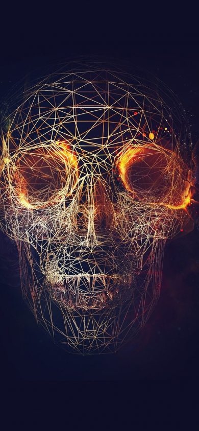 Digital Skull Art iPhone XR wallpaper 828x1792
