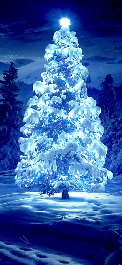 Beautiful Christmas Tree iPhone XR Wallpaper