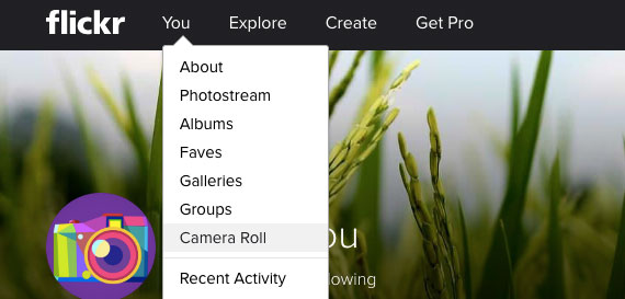 download flickr photos by camera roll