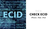 how to check ecid of iphone and ipad