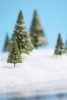 z-christmas_trees-640x960